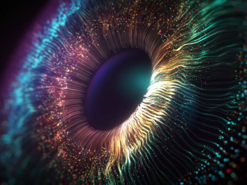 Reportes con evidencia fotografica