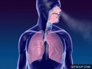 INTRODUCCION A LA VENTILACIÓN MECANICA